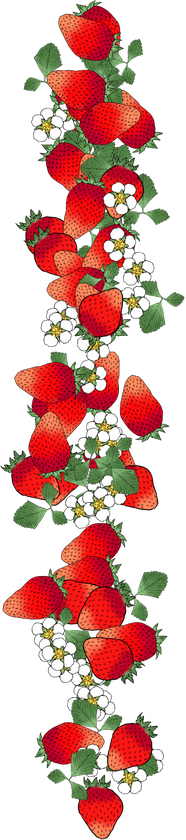 Floral Strawberry Letter I